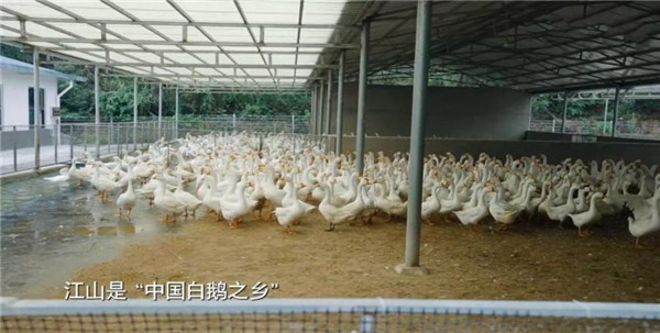 中国电视-《中国美食大会》：地域风味中见中华饮食脉络