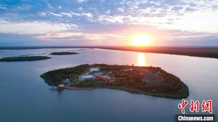 东西问｜张曼胤：中德财政合作项目实施后，衡水湖何以频现“鸟浪”奇观？