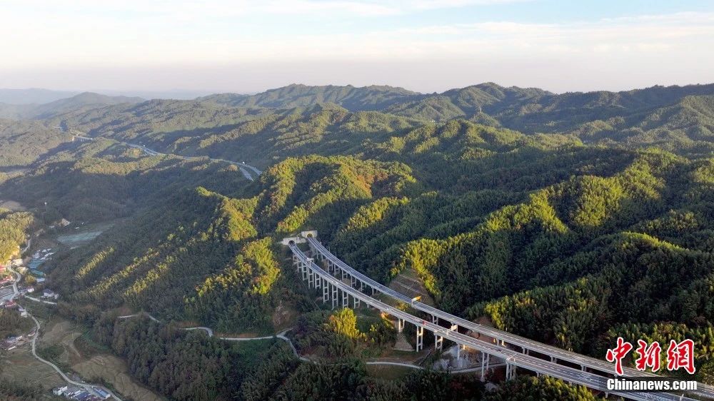 这座赣西北小城如何下“竹”功夫撑起亿元产业？