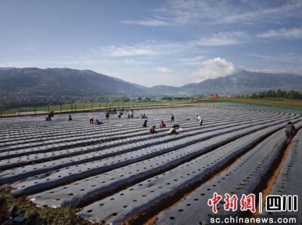 成都环境集团驻布拖帮扶的“满分”专班