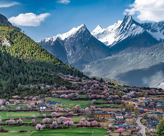 习言道 | 这个“桃花源”，习近平牵挂在心