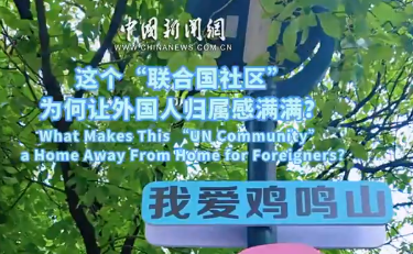 这个“联合国社区”，为何让外国人归属感满满？