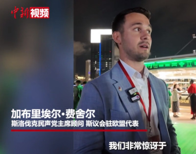 上海的建设能力让海外部长“惊讶”