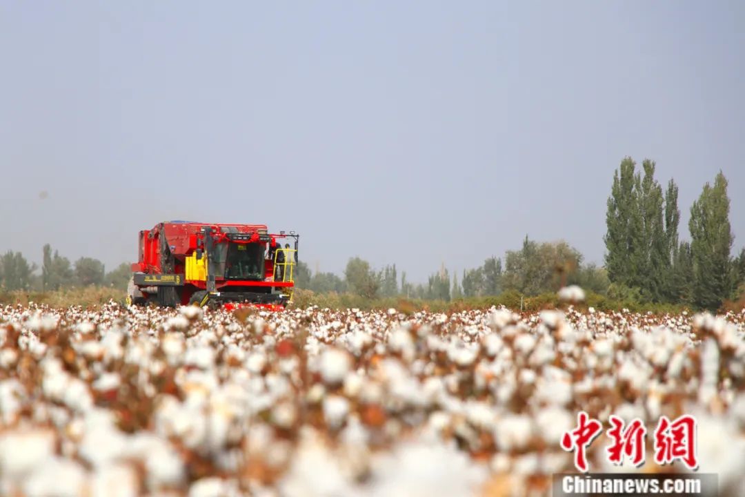 东西问丨马克西姆·维瓦斯：为新疆真相发声，无所畏惧