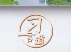 习言道｜走出一条中国特色城市现代化新路子