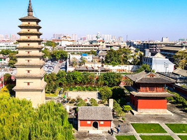 习言道丨一棵大榕树，尽显习近平的城市理念