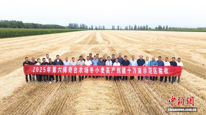 新疆兵团奇台农场创全国冬小麦高产纪录