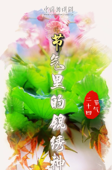 【二十四节气里的锦绣神州】大暑：蝉鸣唤清风 万物丰盈绿意浓