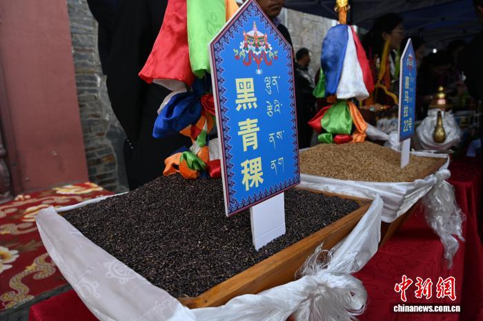 西藏隆子县“四黑”产业绘就边境县兴边富民新图景