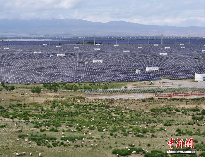从高原到平原 中国绿电跑出“加速度”