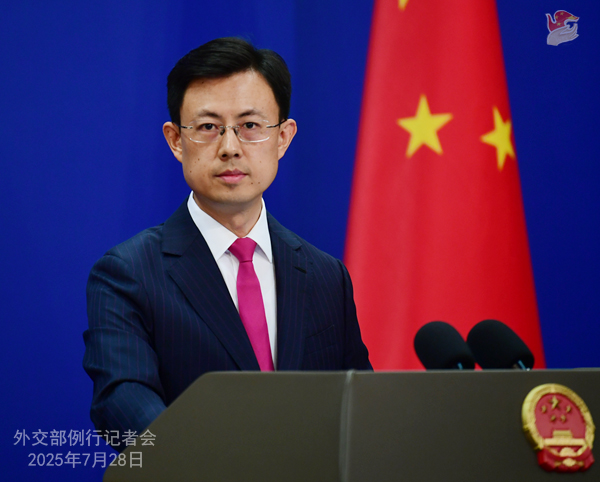 外交部：有关国家应停止为反中乱港分子撑腰张目