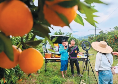 川南3市观察——  三产融合 民族村寨这样干