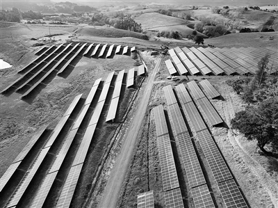 正泰打造全球“区域本土化”合作共赢新图景