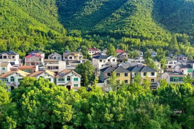 绿色，浙江发展最动人的色彩 ——浙江践行绿水青山就是金山银山理念20年