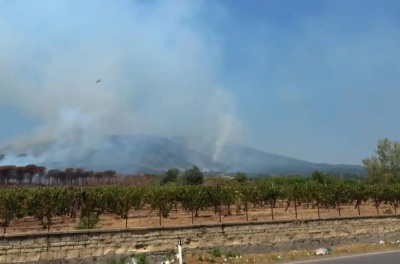 意大利维苏威火山游客线路因森林大火关闭 庞贝遗址仍开放