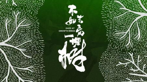 中国电视-《不如去看一棵树》