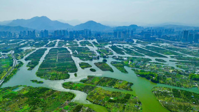 温州创成国际湿地城市将带来三大效益