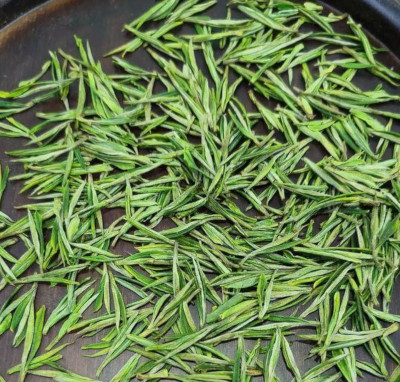 打品牌提品质，浙茶出海增势猛