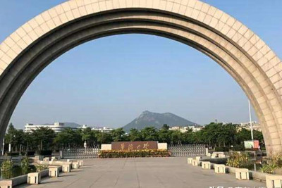 福建：践行“大侨务”观念 打好新时代新“侨牌”