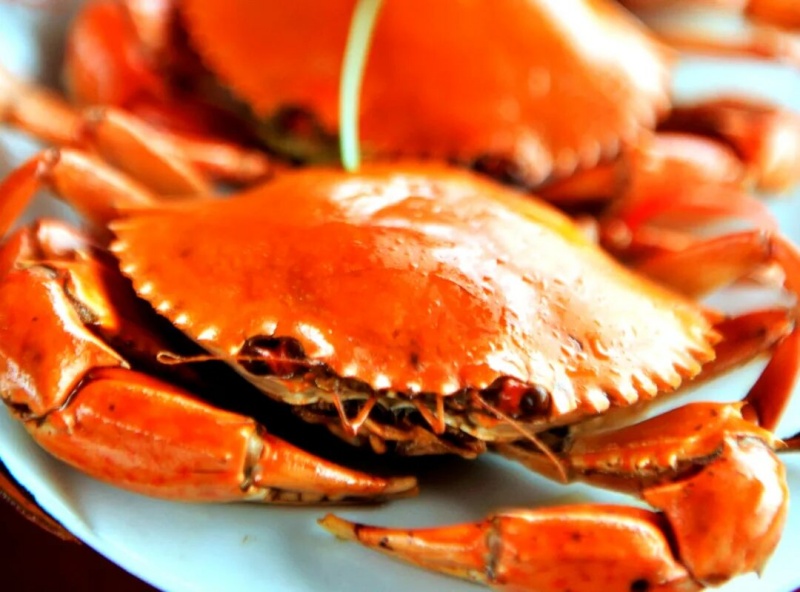 陈子铭：有味漳州