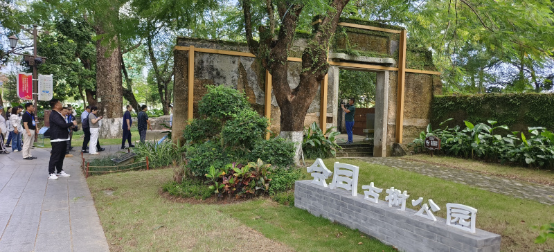 海外华文媒体代表在珠海会同古村探寻传承与发展的故事