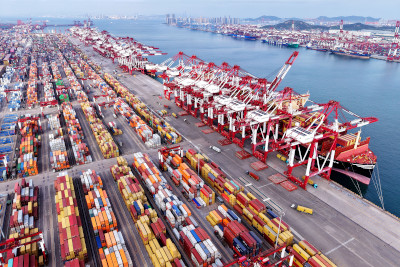 “向新力”到“向心力”！一线感知中国外贸外资活力