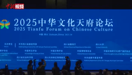 国内外知名专家学者共话文化遗产保护