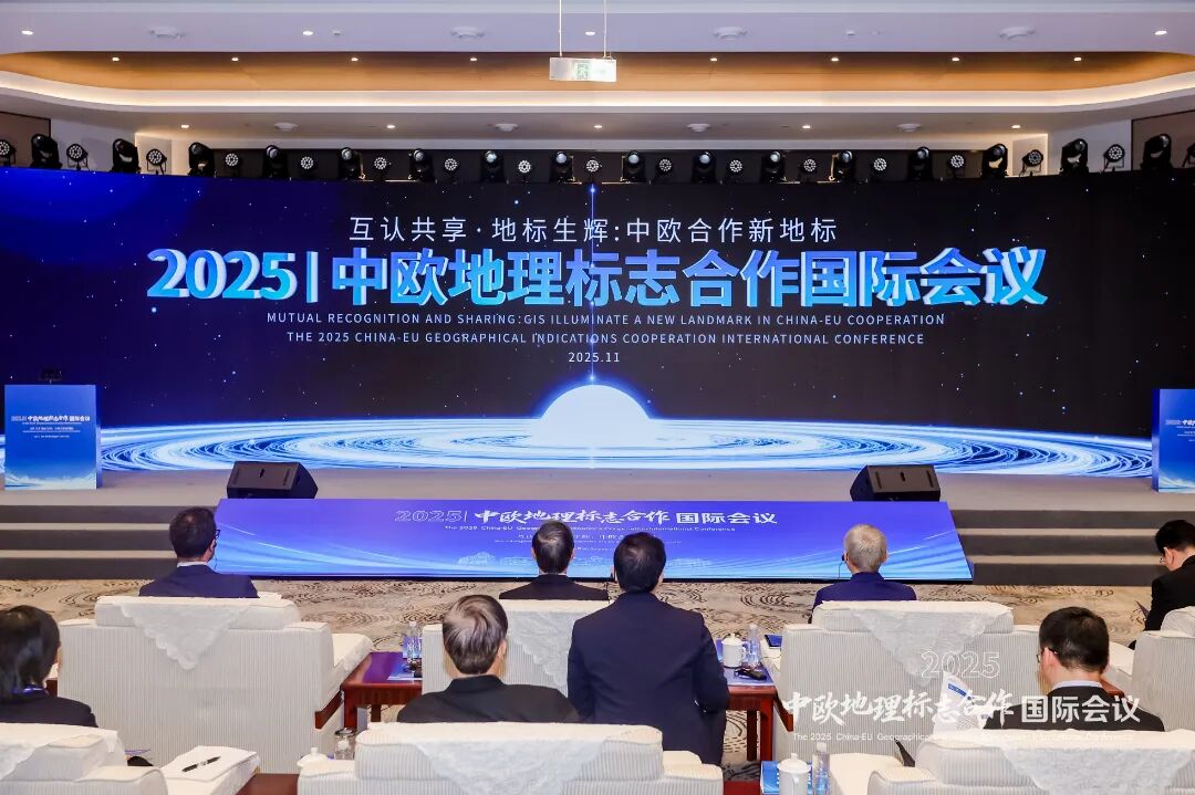 2025中欧地理标志合作国际会议在浙江青田举行
