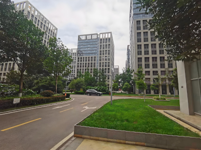 温州推进国际化街区建设 构建“五宜”高品质场景