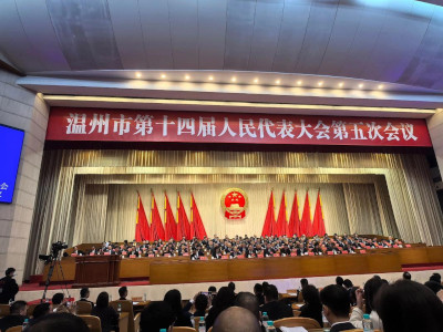 从全球而来为温州发声 市政协十二届五次会议侨界力量点亮发展新路径
