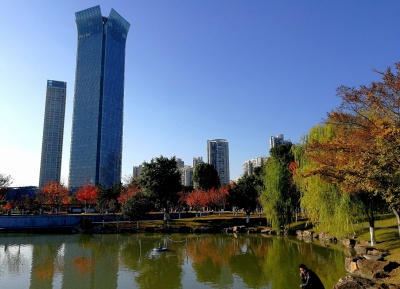 开局向新！温州四区有何高招?