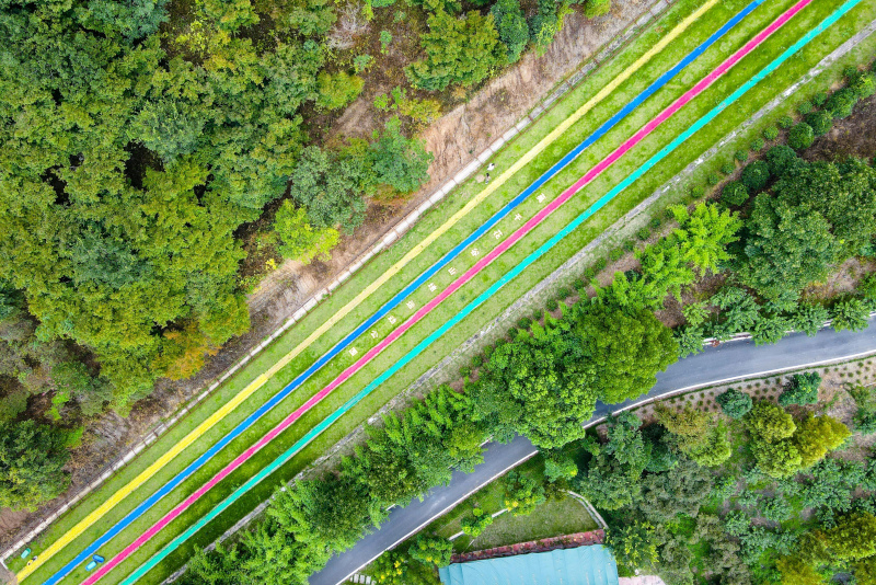 莫干花谷：为莫干山大风景区精心编织的一顶“花冠”