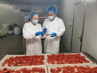 闽西好物踏浪出海！龙岩多元外贸格局加速成型