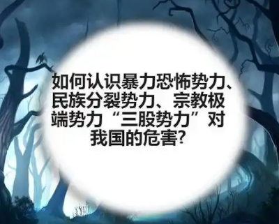 中方代表：防止“三股势力”借助新兴技术蔓延渗透