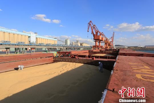 辽宁大连检出进口大豆严重短重 高达379吨