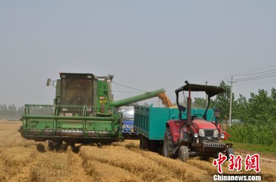 夏增补秋减 河南粮食全年总产有望再获丰收