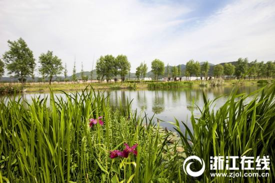 宁波北仑水利)北仑岩泰水生态.jpg