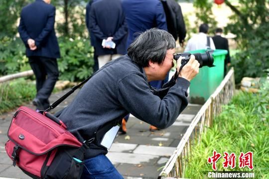 图为海外华文媒体捕捉美景。　吕明 摄