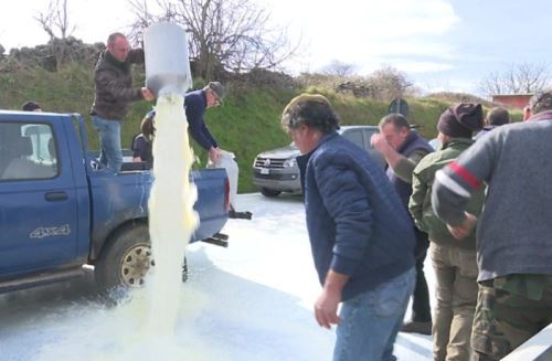 意大利奶农抗议价格过低 在大马路上泼羊奶