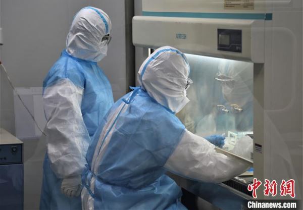 资料图：检验师在实验室进行新冠病毒核酸标本检测。　杜炳勋 摄