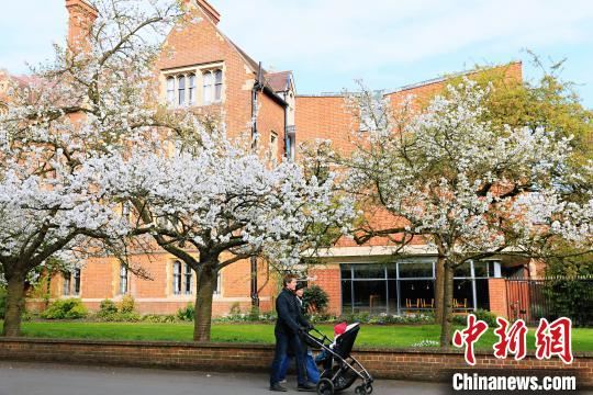 通讯：疫情下，留守在剑桥的中国学子们