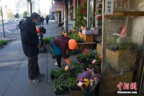 　图片资料图：纽约市法拉盛缅街。<a target='_blank' href='http://www.chinanews.com/'>中新社</a>记者 马德林 摄