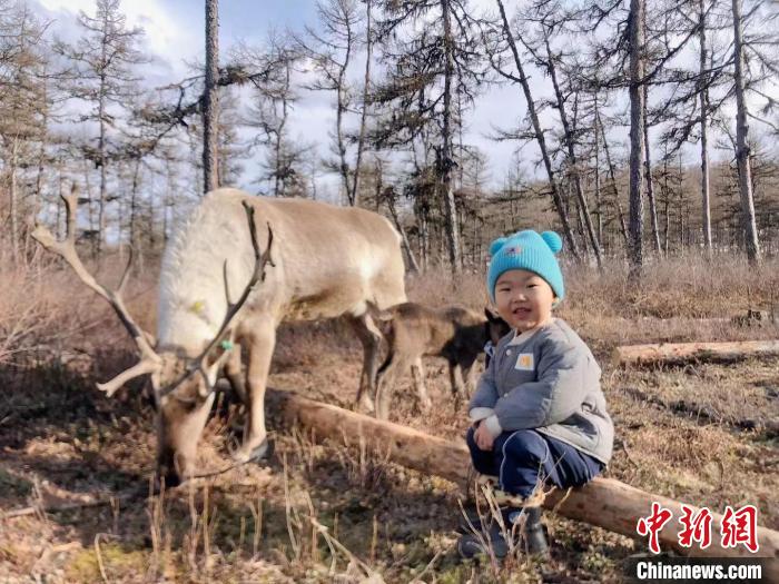 图为佳尔塔和驯鹿在一起。　古木森供图