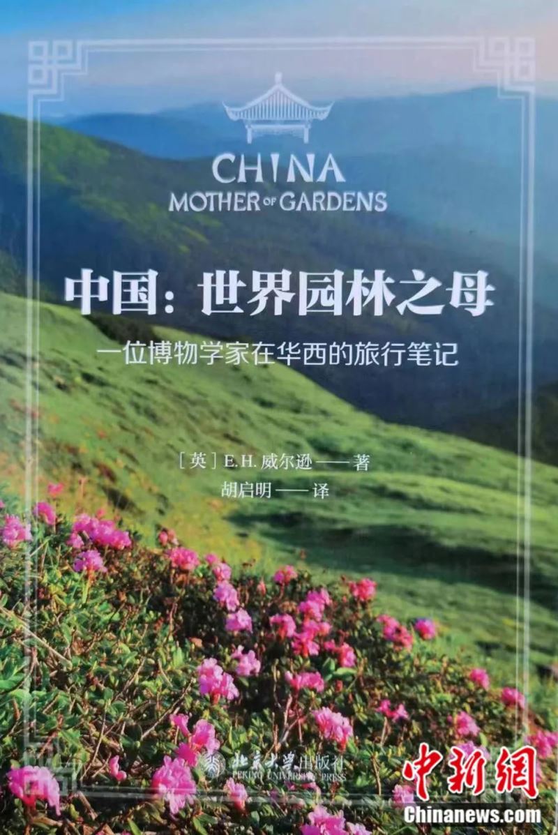 威尔逊《中国：世界园林之母》汉译版。