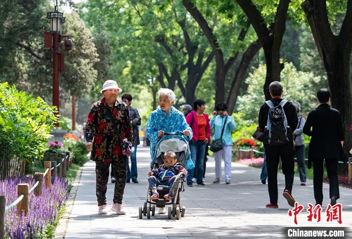 2021年5月11日，老人在北京景山公园内散步。<a target='_blank' href='/'>中新社</a>记者 侯宇 摄 
