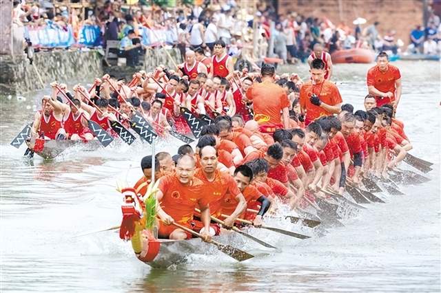 古韵今风在侨乡大地交织 端午龙舟引客来 文旅融合谱新篇