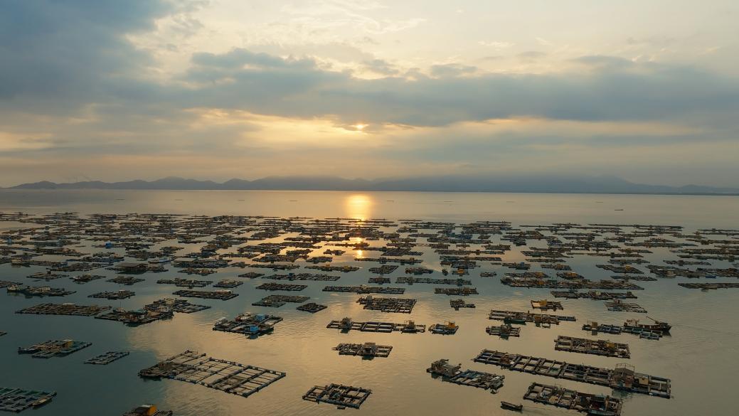 中国电视-《自然中国》之《向海而行》：人与自然和谐共生的细腻叙事