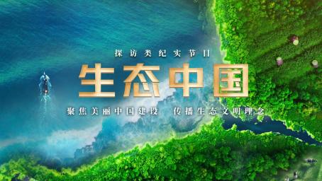 中国电视-《生态中国》